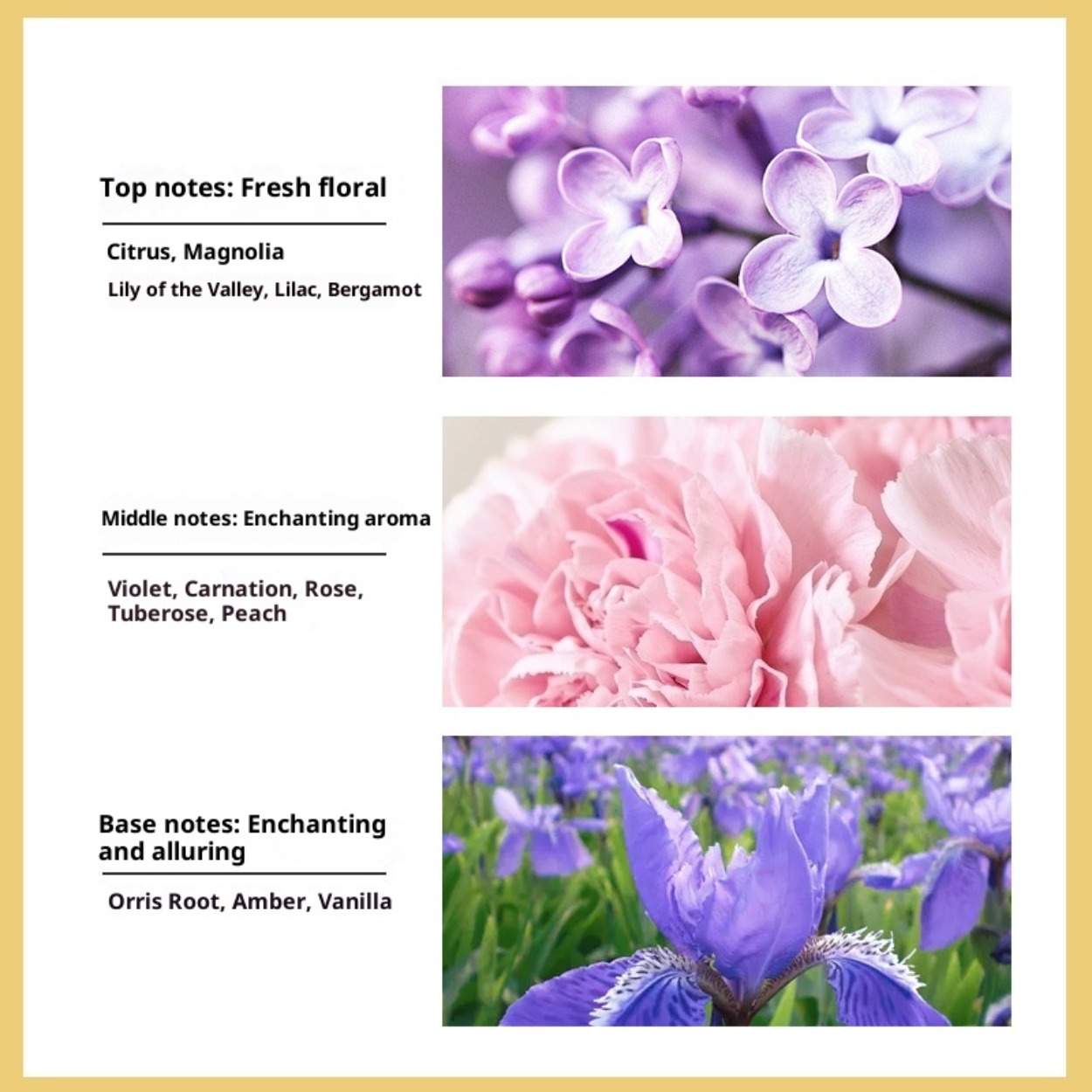 ไม่ใช่. น้ำหอมสำหรับผู้หญิง 5  - Perfume Fragrance Brands บทวิจารณ์และราคา